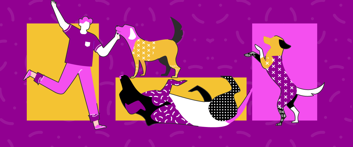 5 posturas de un perro feliz