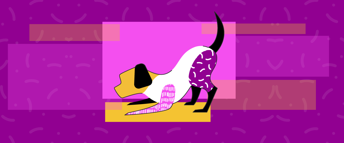 5 posturas de un perro feliz