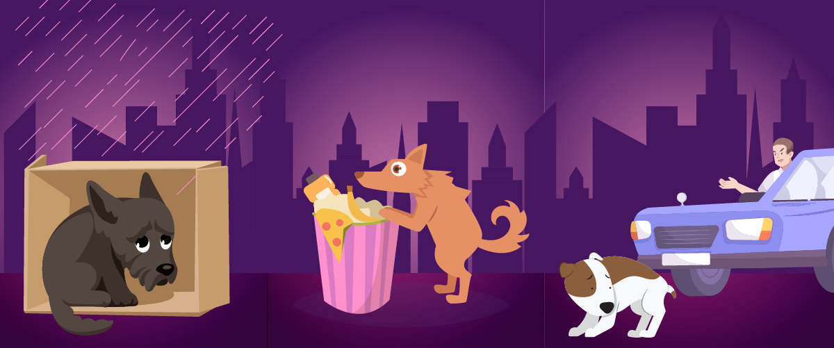 Nutrecan al rescate - ¿cómo es la vida de un perro callejero?