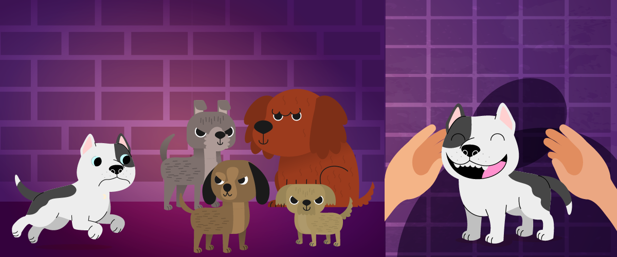 Nutrecan al rescate - hagamos historias