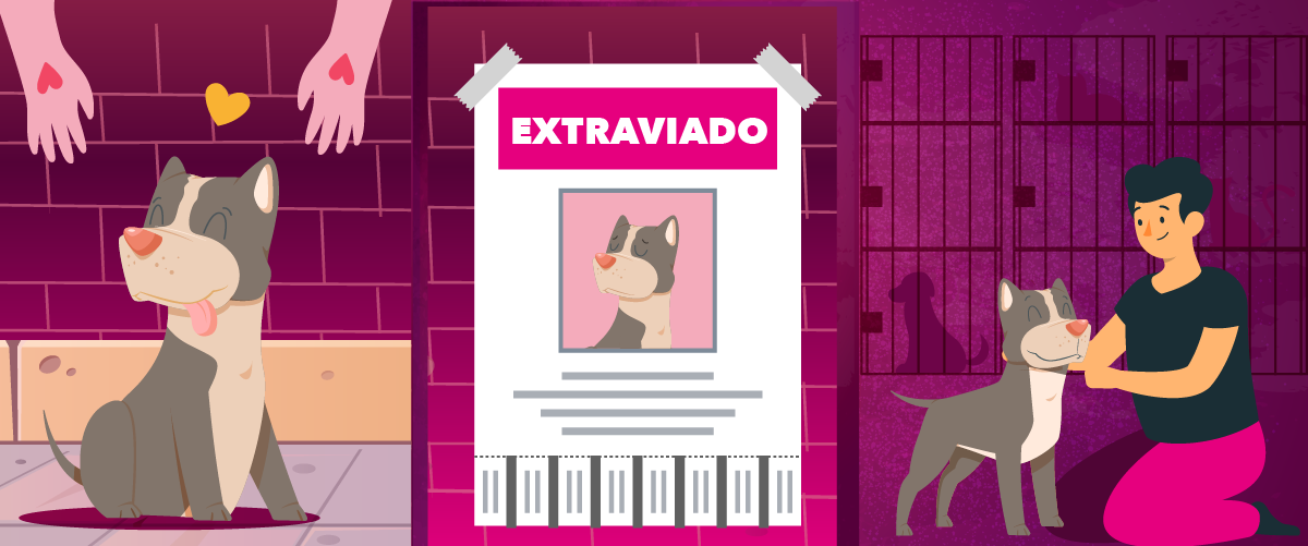Nutrecan al rescate - maneras de ayudar