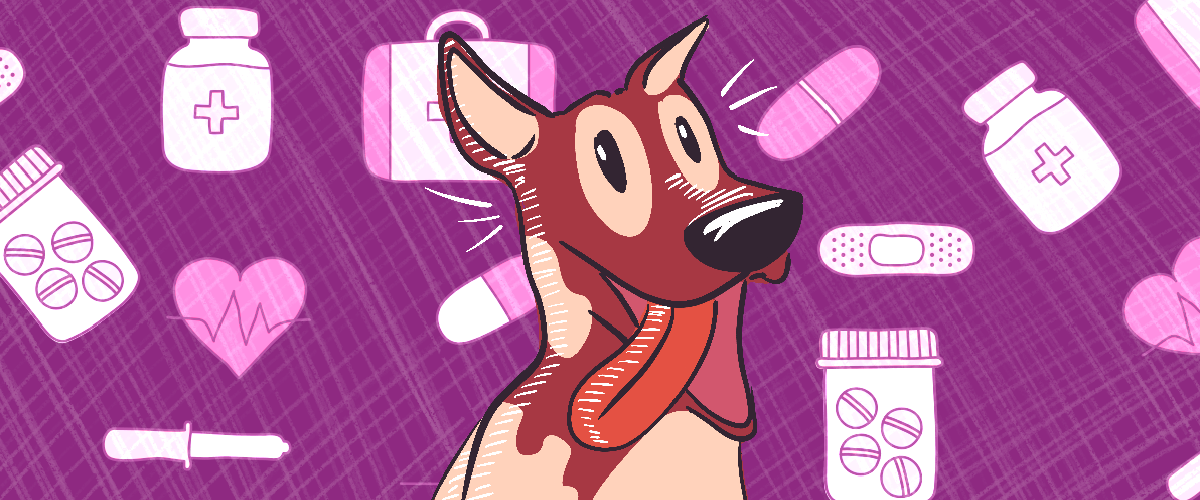 Parvovirus canino, ¿qué es?